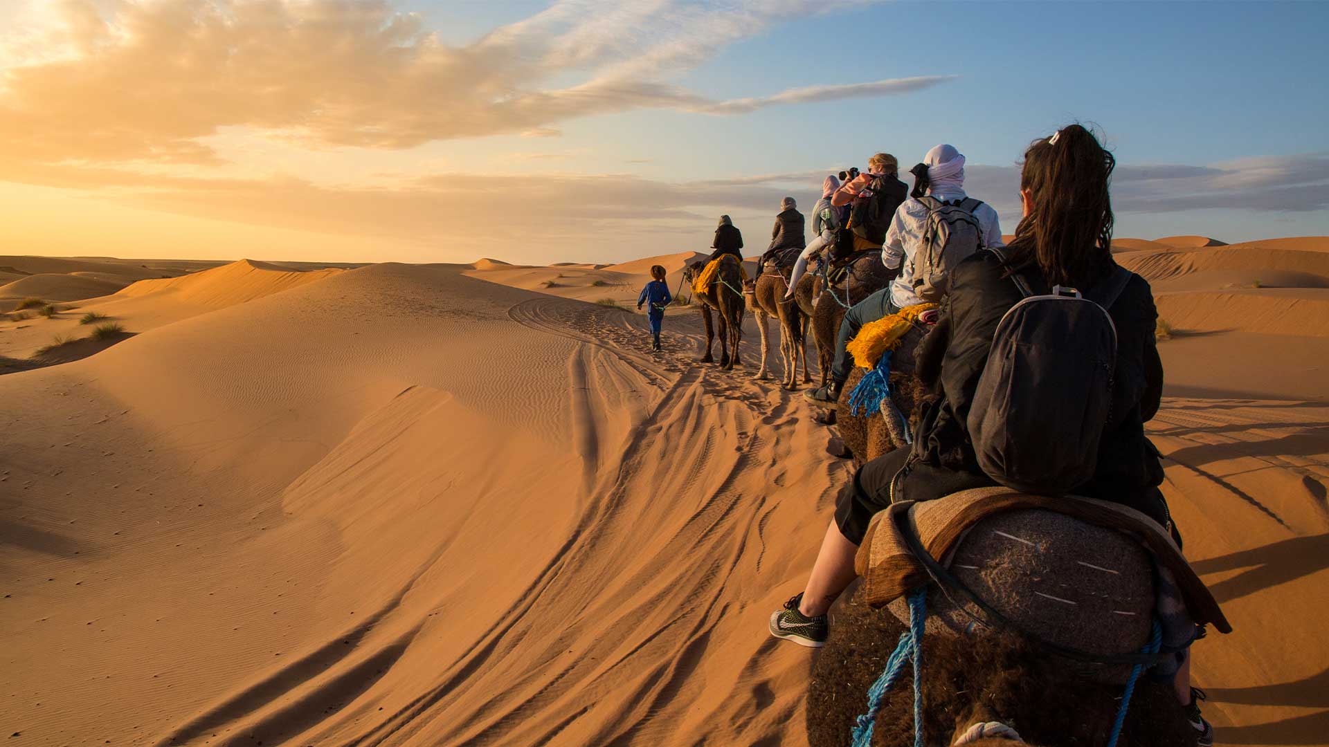 Group Camel Trek in Egypt Desert