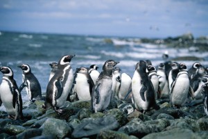 South America/Galapagos