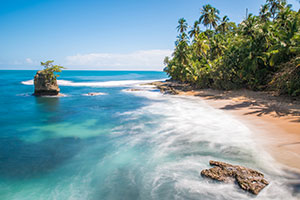 Tamarindo