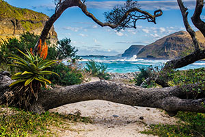 Seychelles/South Africa